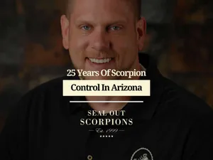 25 Years of Scorpion Control in Arizona