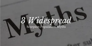 3 Widespread Scorpion Population Myths