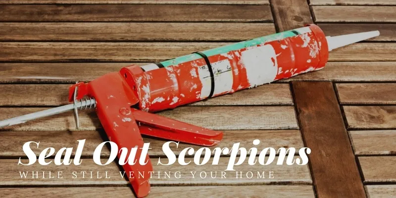 How To Seal Out Scorpions While Still Venting Your Home In Scottsdale, Arizona