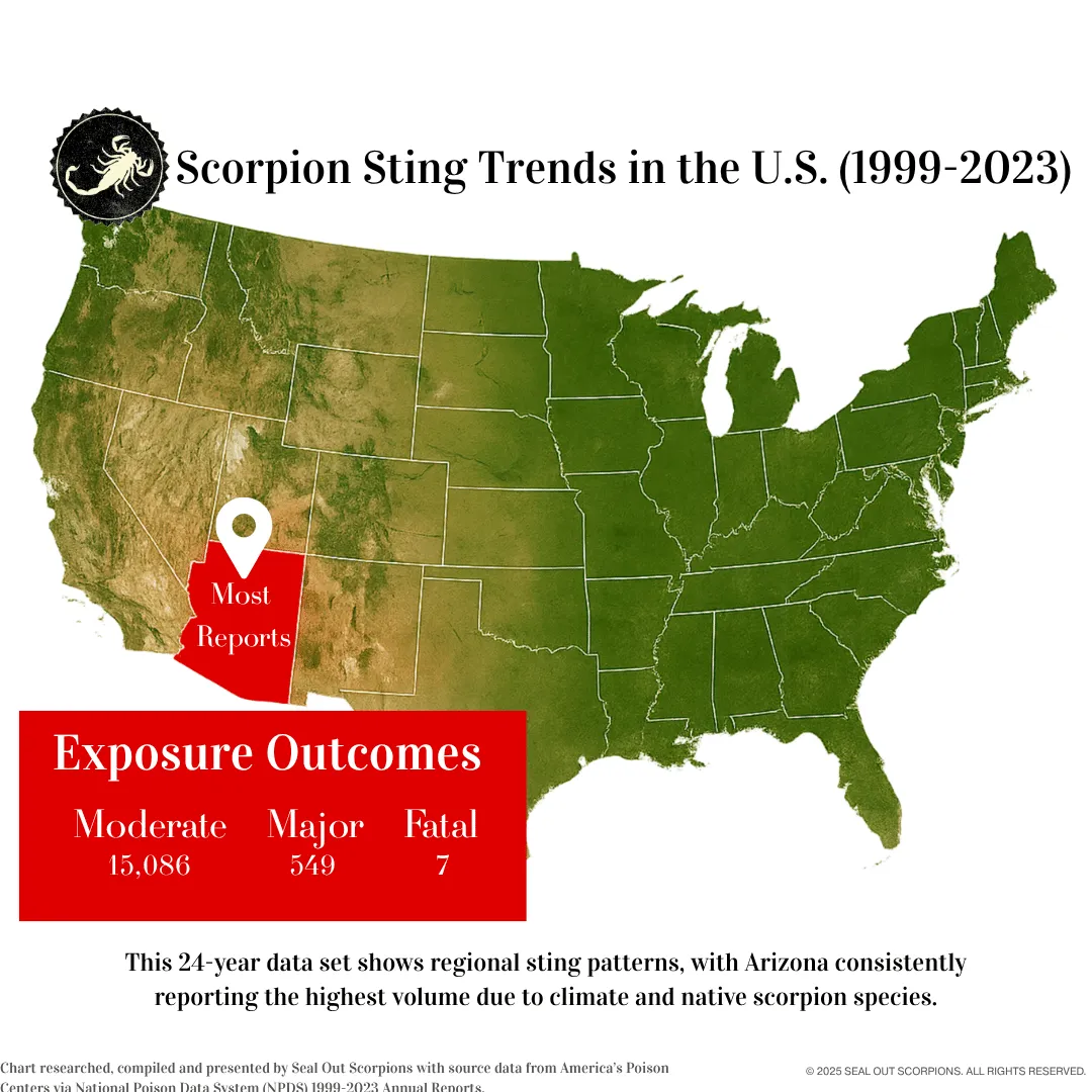 Image that shows Scorpio Sting Trends in the USA