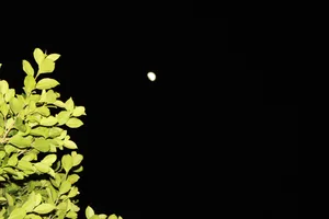 Monsoon & Moon in Phoenix 2025