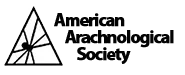 American Arachnological Society