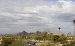 Arizona Bark Scorpion Season