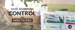 Bark Scorpion Control with Insecticides