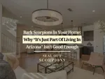 Bark Scorpions in Your Home: Why “It’s Just Part of Living in Arizona” Isn’t Good Enough
