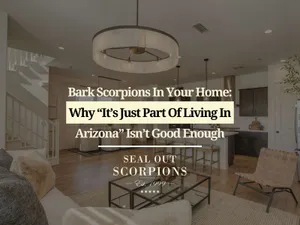 Bark Scorpions in Your Home: Why “It’s Just Part of Living in Arizona” Isn’t Good Enough