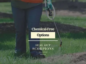 Chemical-Free Options