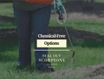Chemical-Free Options