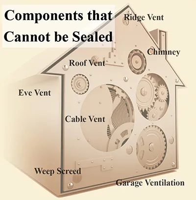Parts of the home interior that can not be sealed for scorpion prevention