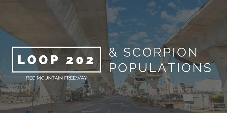 South Mountain Freeway/Loop 202 Will Create Negative Impact on Scorpion Control