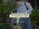 Scorpion Control: Kill The “Food-Source” Myth