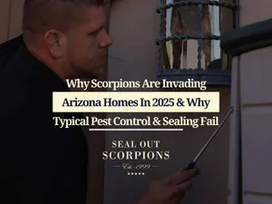 Why Scorpions Are Invading Arizona Homes In 2025 & Why Typical Pest Control & Sealing Fail