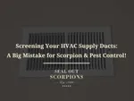 Screening Your HVAC Supply Ducts – A Big Mistake for Scorpion & Pest Control!