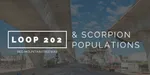 South Mountain Freeway/Loop 202 Will Create Negative Impact on Scorpion Control