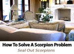 Learn how we can help solve scorpion problems