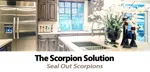 The Scorpion Solution For Your Scottsdale Arizona Home!