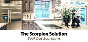 The Scorpion Solution For Your Scottsdale Arizona Home!