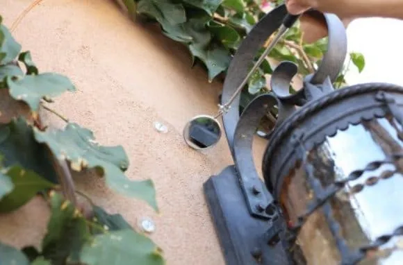 The solution to scorpions pest control