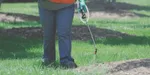 Professional dark pest control sprayer