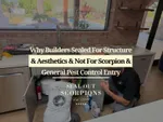 Why Builders Sealed For Structure & Aesthetics & Not for Scorpion and General Pest Control Entry