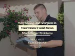 Why Seeing One Scorpion In Your Home Could Mean Much Bigger Problems